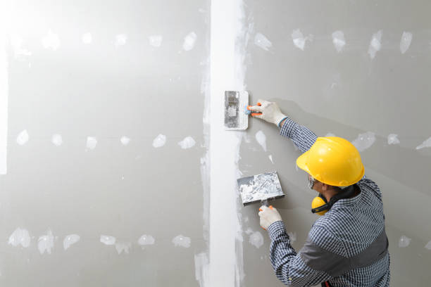 Best Industrial Mold Remediation  in White Salmon, WA