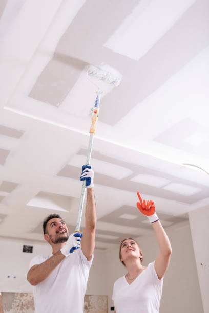 Best Attic Mold Removal  in White Salmon, WA