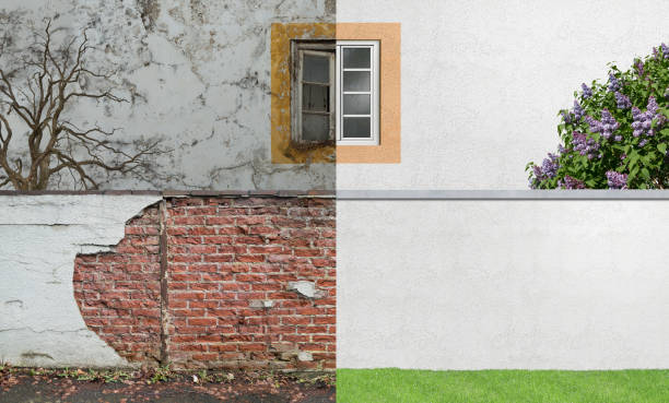 Best Forensic Mold Investigation  in White Salmon, WA