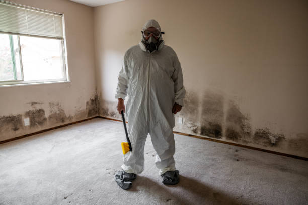 Best Mold Prevention Services  in White Salmon, WA